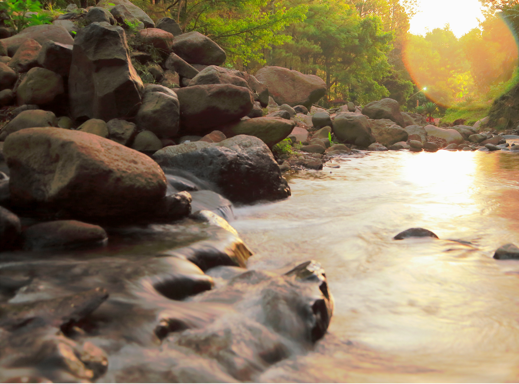 About Ikigai Sojourns