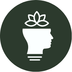 About Ikigai Sojourns